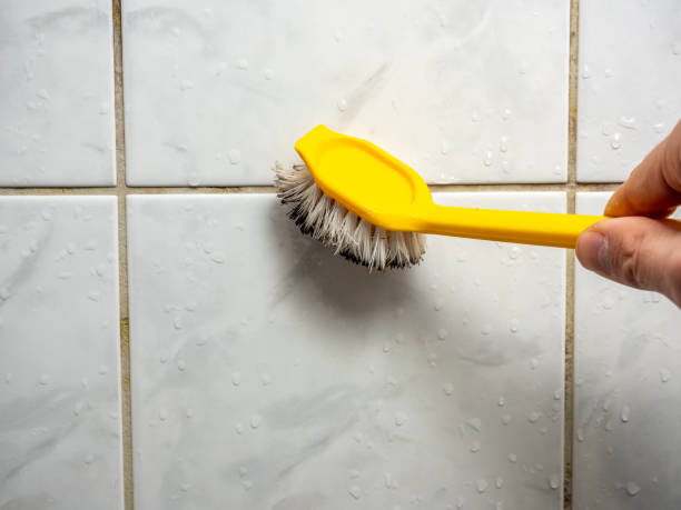 Best Mold Damage Repair  in Ayden, NC