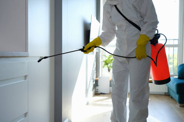 Best Certified Mold Removal  in Ayden, NC