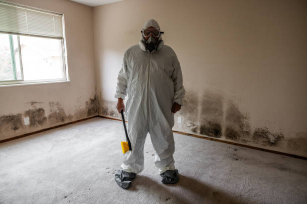 Best Attic Mold Removal  in Ayden, NC